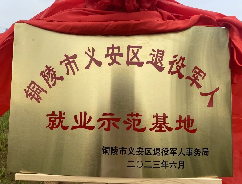 yp街机(中国)电子游戏官网